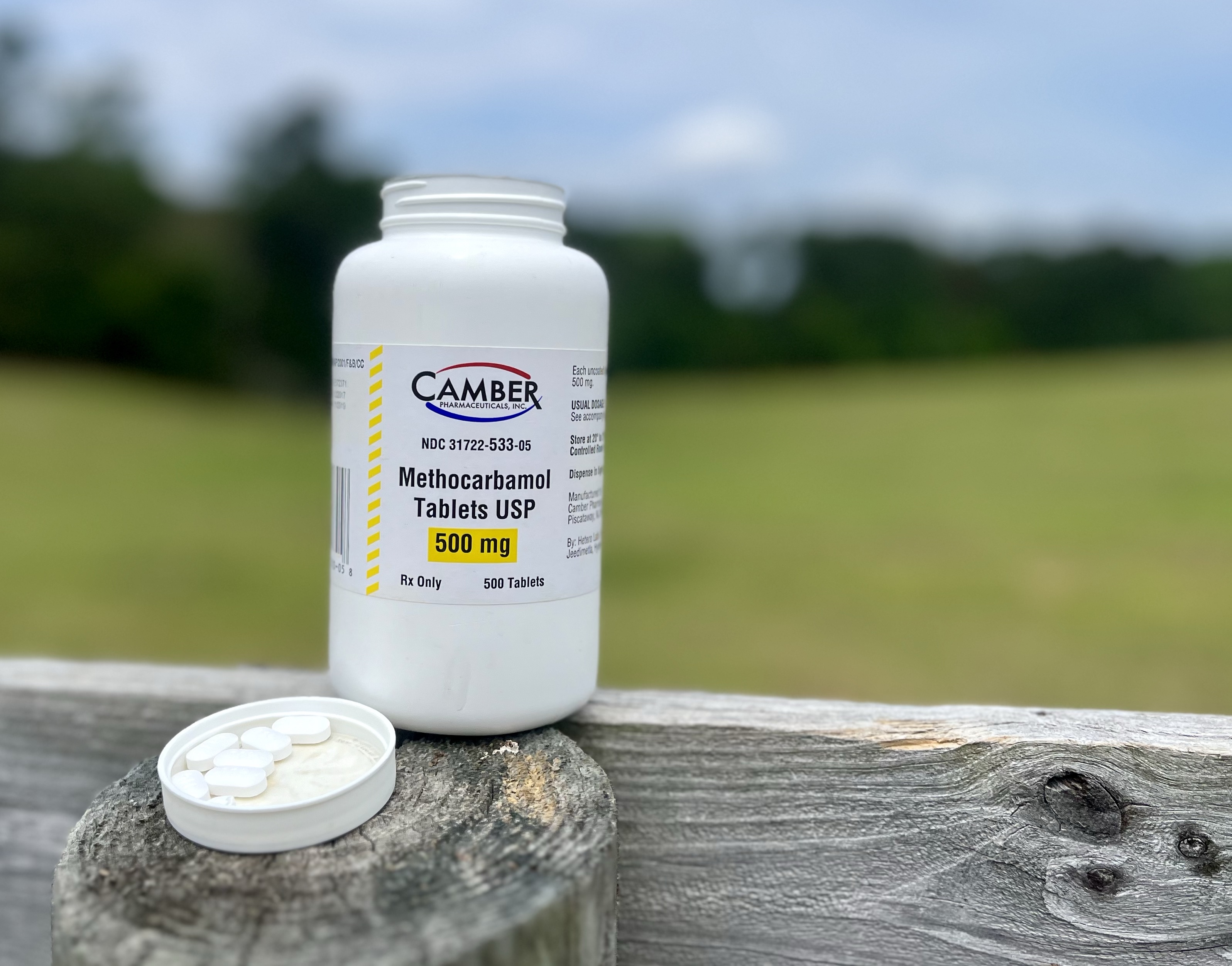 Synergistic Effects of Methocarbamol and Therapeutic Massage on Horses