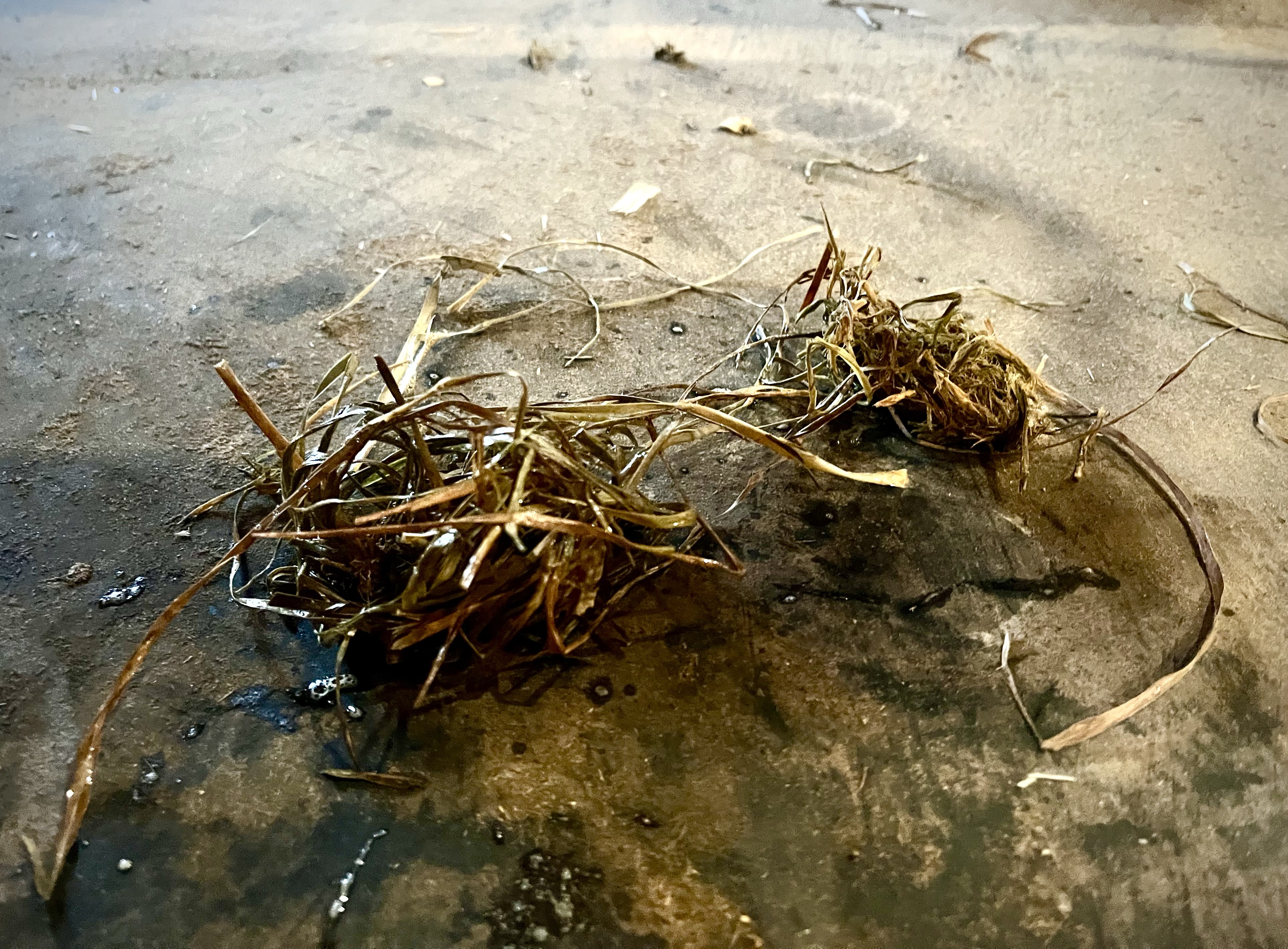 What Does Quidding Mean and What Can I Do About It?