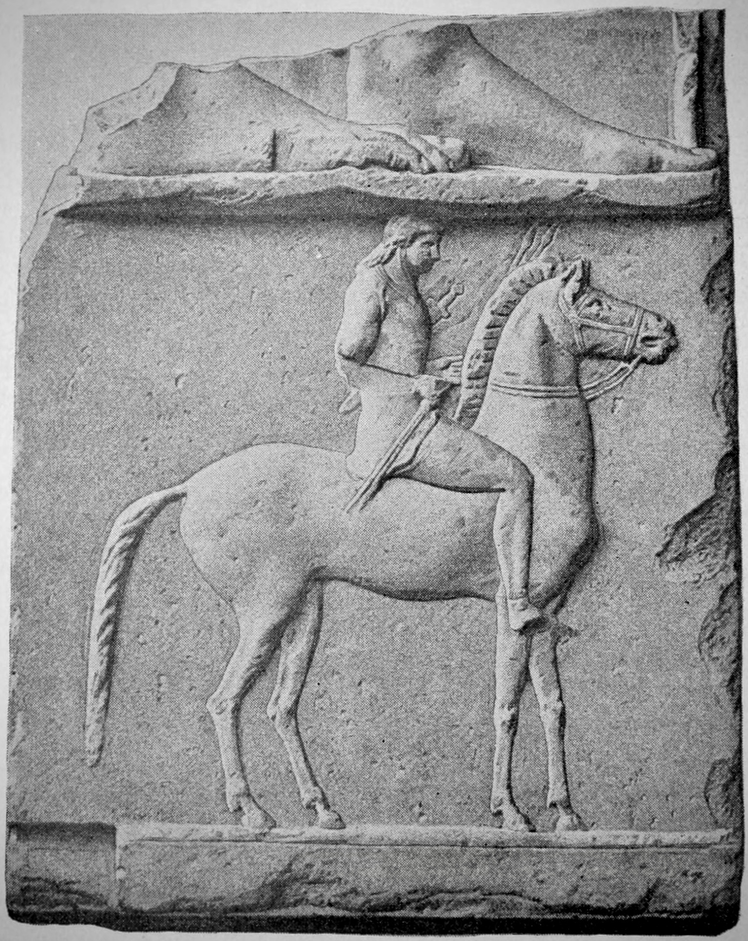 The History of Equine Massage