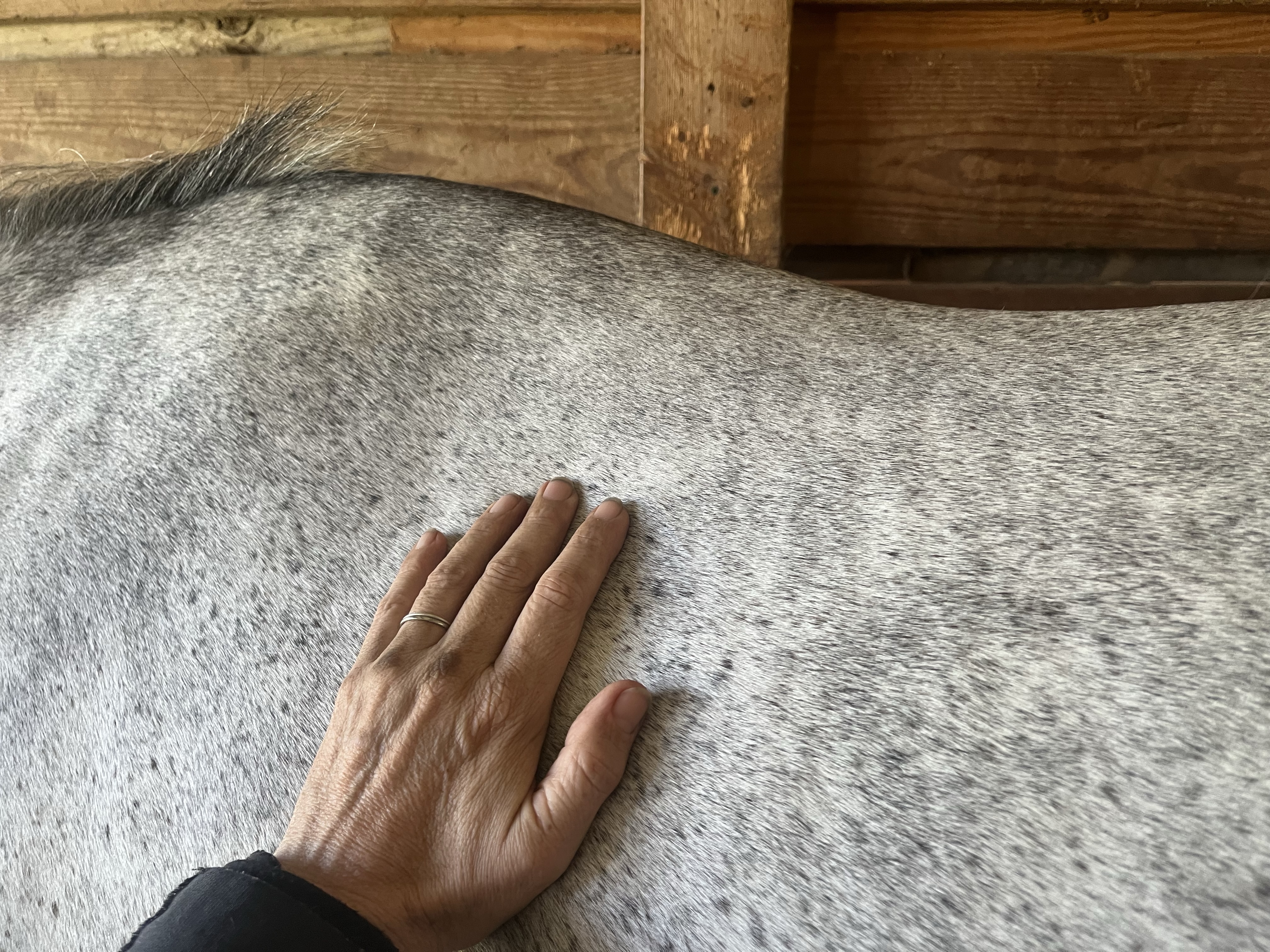 Causes of Fascial Pain and How to Address Them