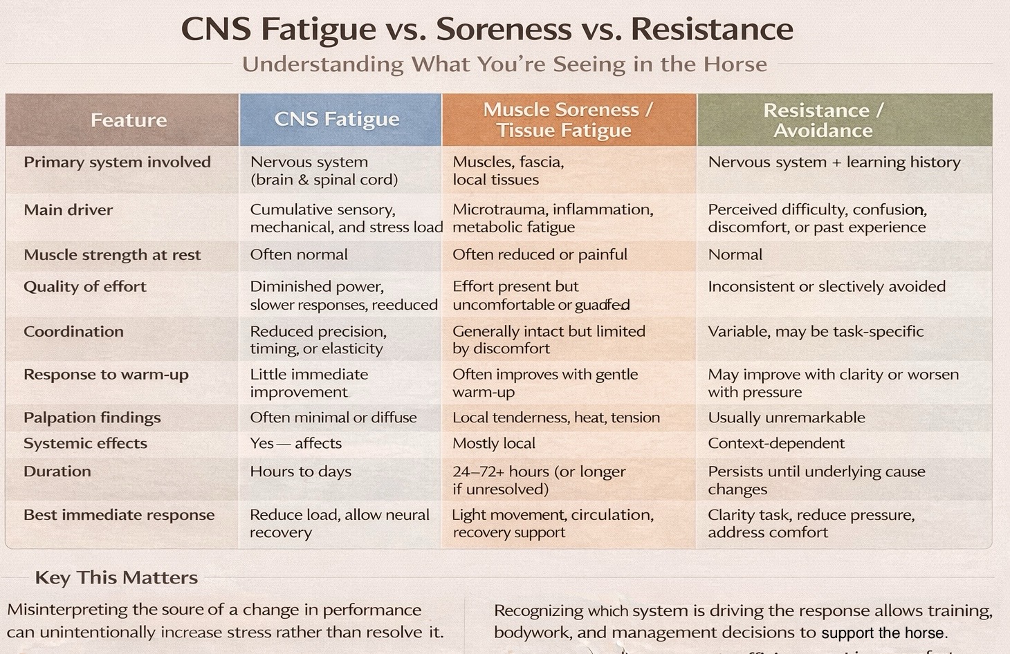 Understanding Central Nervous System (CNS) Fatigue in Horses