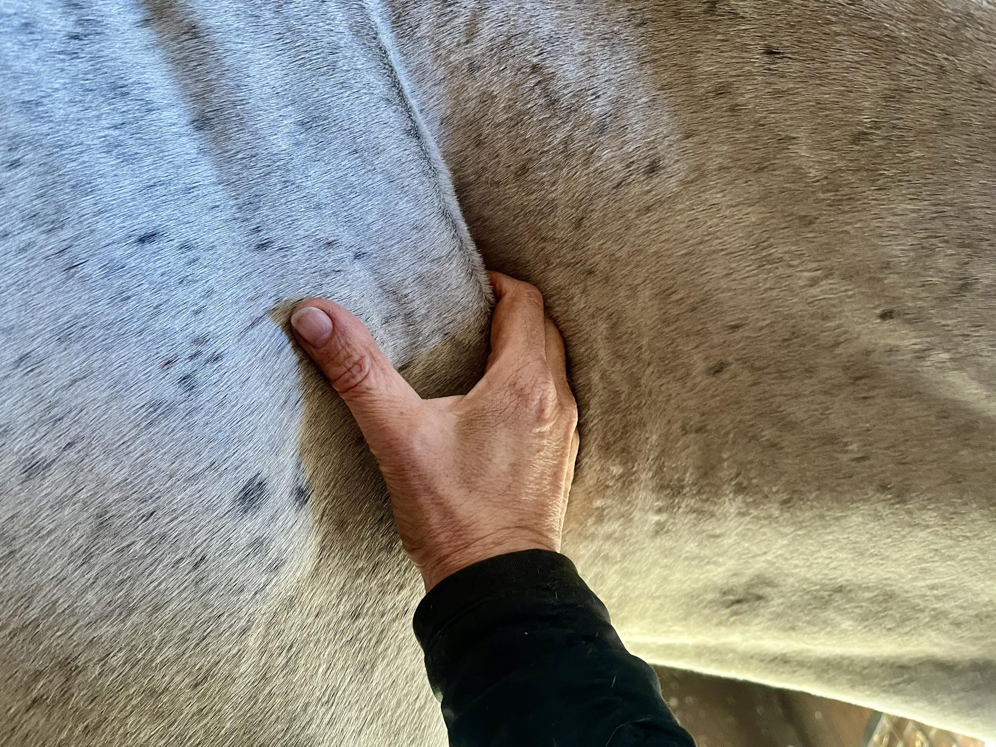 Touch Over Tools: Why Fascia Knows the Difference