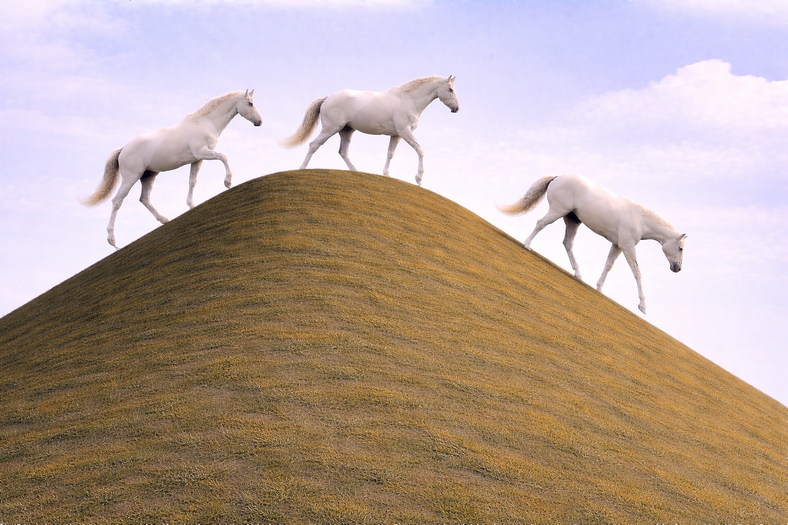 Hill Work: Simple. Powerful. Underrated.&nbsp;