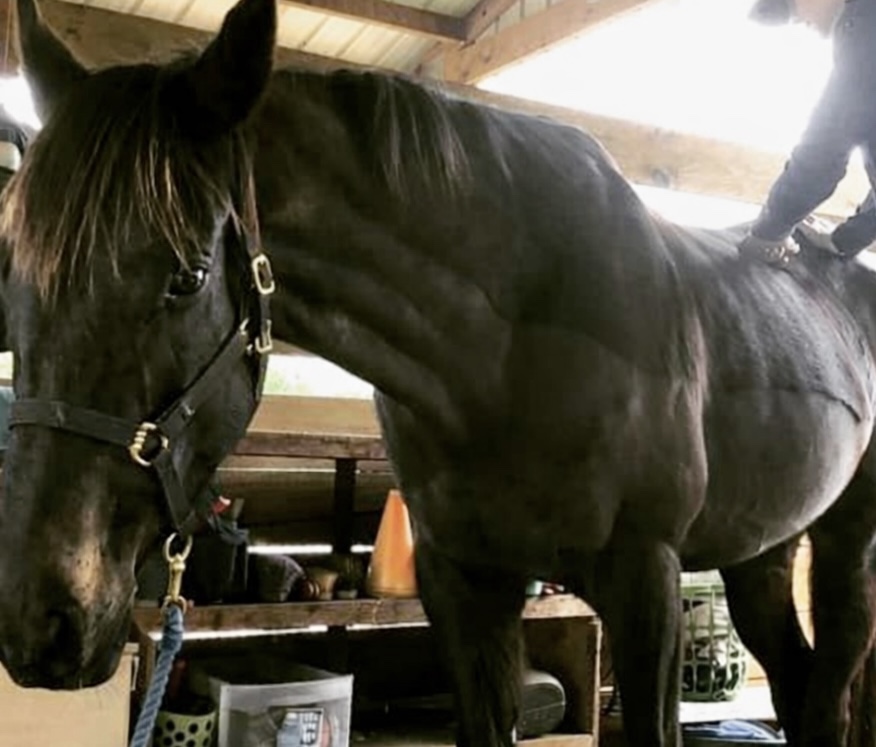 15 Surprising (and Often Overlooked) Benefits of Fascial Release