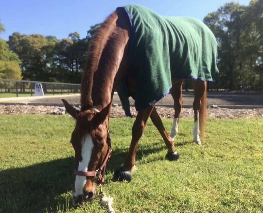 An active cool down is more beneficial than a passive cool down.